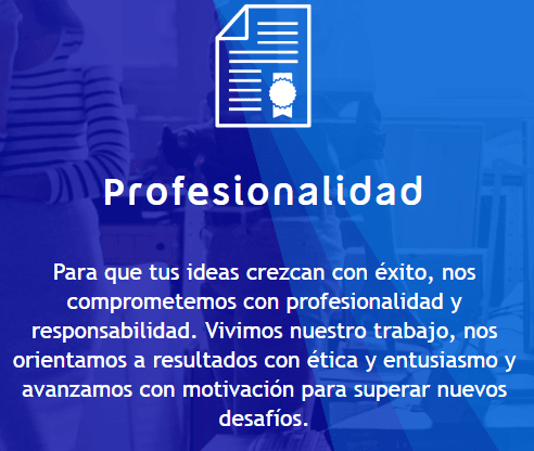 ¿Qué perfiles estamos buscando?